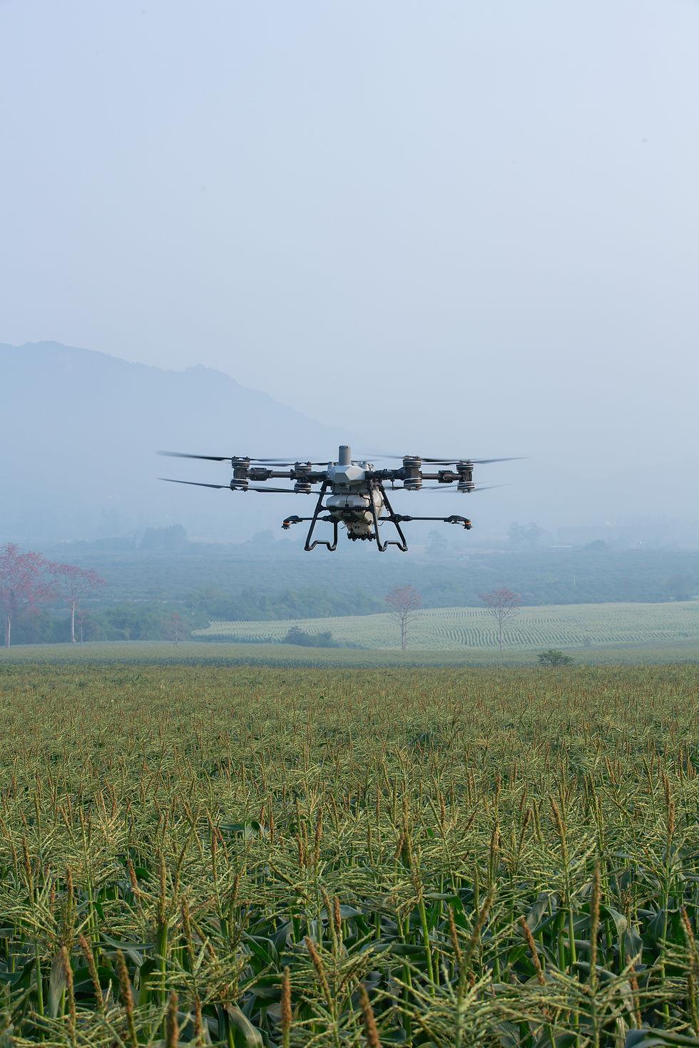 DJI Agras T100 - In volo